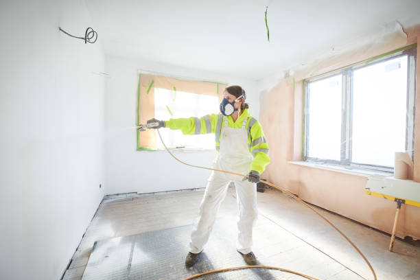 Environmental Consulting for Mold Prevention in Chickasaw, AL