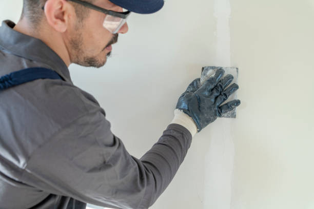 Best Mold Documentation for Insurance Claims  in Chickasaw, AL