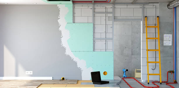 Best Basement Mold Removal  in Chickasaw, AL